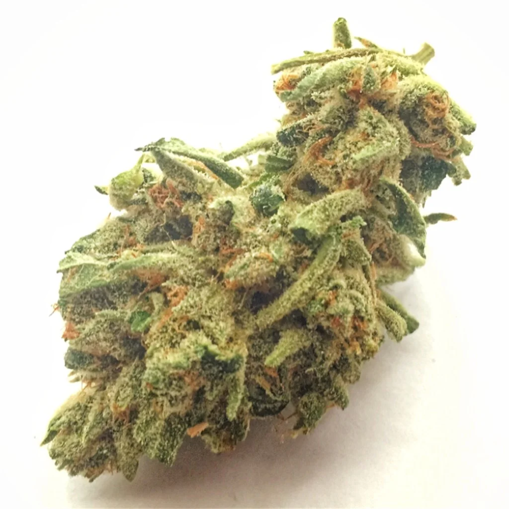 A guide to buy weed online in Paris, covering the best platforms and legal tips